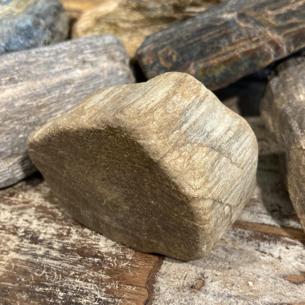 17pcs Petrified Wood 🪵 Rock Collection - Picture 17 of 17